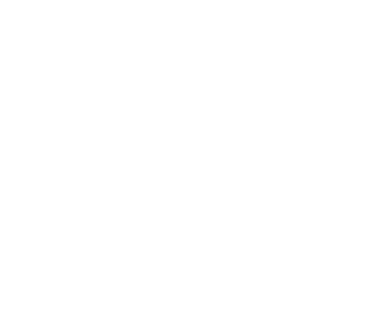 Renegade Relief Logo