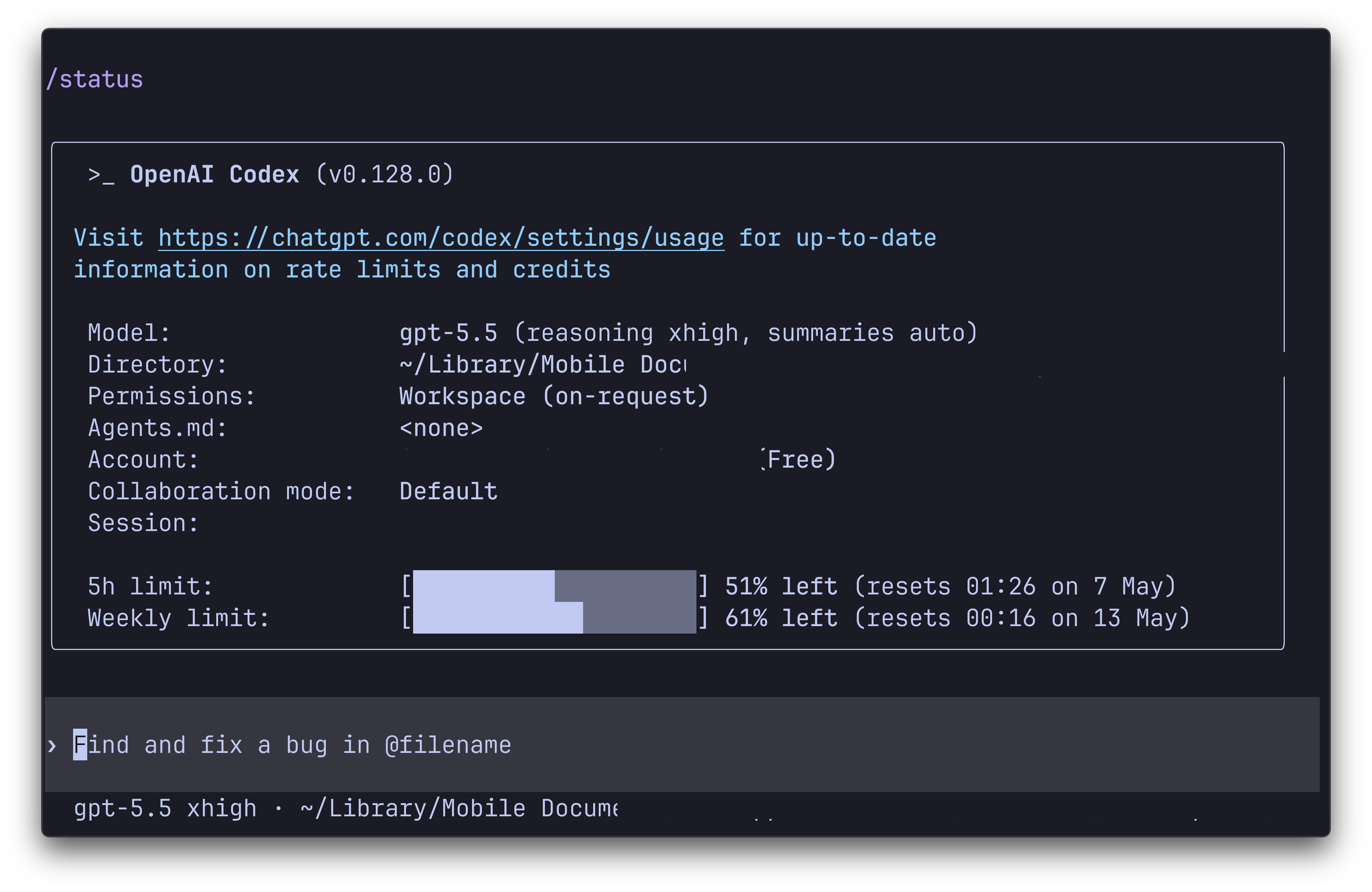OpenAI Codex showing 5h limit at 51% left, weekly at 61% left — the middle of the tank